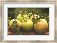 Framed Jill's Green Apples I