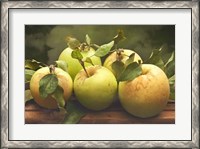 Framed Jill's Green Apples II