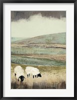 Open Meadow II Framed Print