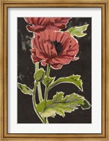 Framed Haloed Poppies II