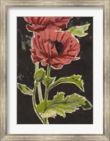 Framed Haloed Poppies II