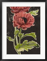 Haloed Poppies II Framed Print