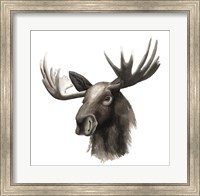 Framed Western Animal Study III