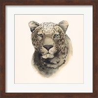 Framed Safari Cat I