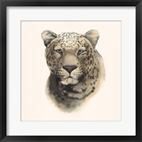 Framed Safari Cat I