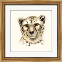 Framed Safari Cat IV