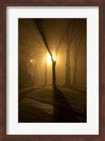 Framed Light Through The Mist