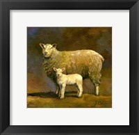 Framed Taffy's Lamb