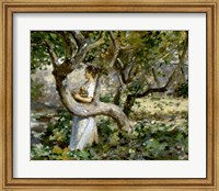 Framed In The Garden, c. 1891