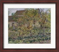 Framed Yellow Apples, 1892