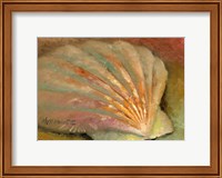 Framed Scallop Seashell