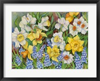 Framed Daffodils And Grape Hyacinths