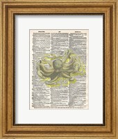 Framed Dreadful Octopus IV