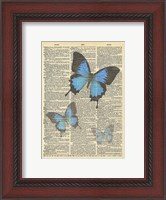 Framed Secret Butterfly I