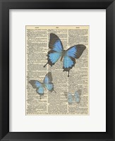 Secret Butterfly I Framed Print