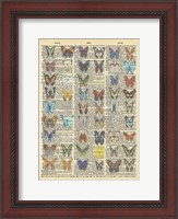 Framed Secret Butterfly III