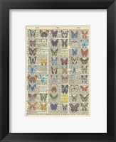 Framed Secret Butterfly III
