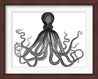 Framed Octopus Vintage
