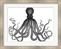 Framed Octopus Vintage