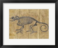 Chameleon I Framed Print
