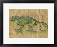 Chameleon III Framed Print