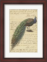 Framed Peacock Script