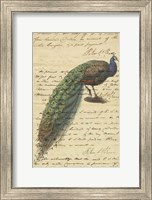 Framed Peacock Script