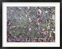 Framed Grass & Leaves Camo