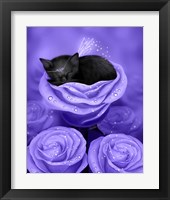 Framed Lilac Daydreams