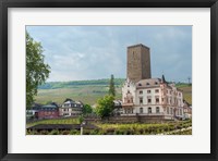 Framed Carl Jung Vineyard, Boosenburg Castle