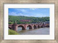 Framed Carl Theodor Bridge, Heidelberg Castle