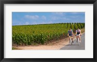 Framed Cyclists in Vineyards of Cote des Blancs