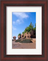 Framed Bay of Fundy Hopewell Rocks