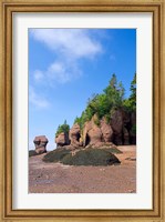 Framed Bay of Fundy Hopewell Rocks