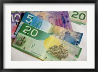 Framed Money, Canadian Currency
