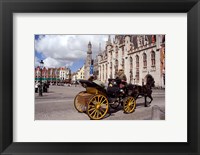 Framed Horsedrawn Carriage Ride, Belgium