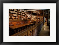 Framed Great Library, Plantin-Moretus Museum