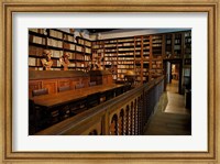 Framed Great Library, Plantin-Moretus Museum