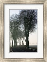 Framed Country Road in Morning Mist