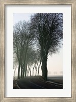 Framed Country Road in Morning Mist
