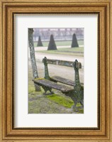 Framed Park Bench in the Gardens, Chateau de Fontainebleau