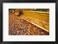 Framed Quebec City Park Bench in Fall
