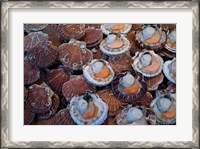 Framed Trouville Fish Market, Calvados, France