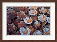 Framed Trouville Fish Market, Calvados, France