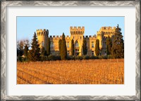 Framed Vineyard with Syrah Vines and Chateau des Fines Roches