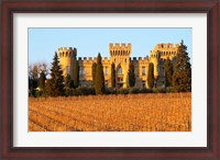 Framed Vineyard with Syrah Vines and Chateau des Fines Roches