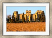 Framed Vineyard with Syrah Vines and Chateau des Fines Roches