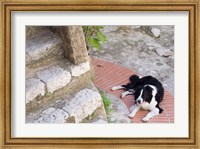 Framed Eze-Village, Cote d'Azur, France