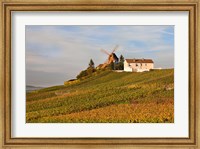 Framed Windmill and Vineyards
