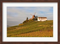 Framed Windmill and Vineyards